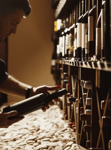 Climatiseur de cave à vin WineMaster Fondis Wine C25 (visuel constructeur)