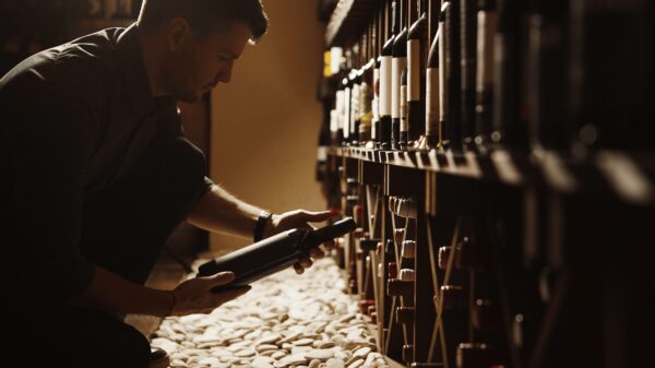 WineMaster Fondis Wine C25SX – Climatiseur de cave à vin encastrable, froid + réchauffeur
